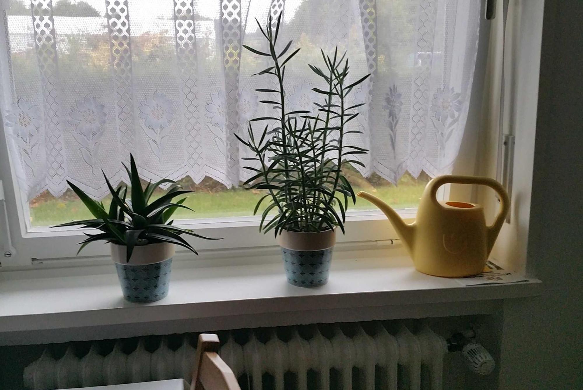 Ferienwohnung Rombachs Spatzennest Гербольцгайм Екстер'єр фото